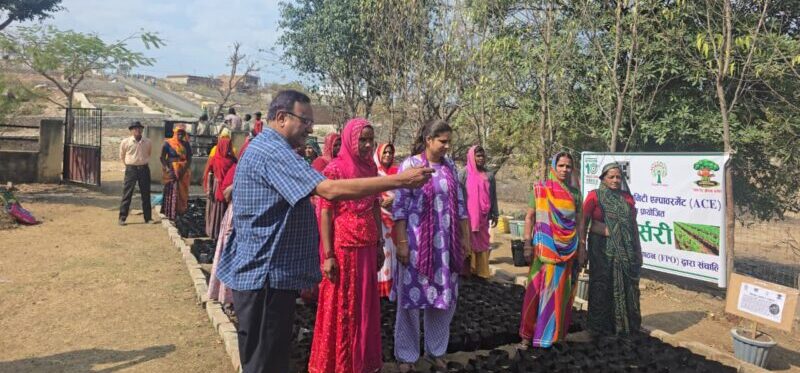 Mission 10 Million Tree – Basic preparation and Involvement of SHGs